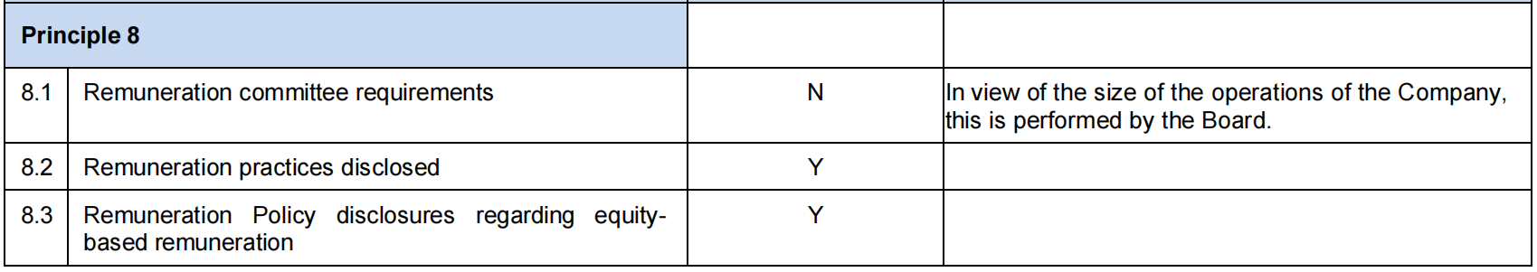 Corporate Governance(图4)